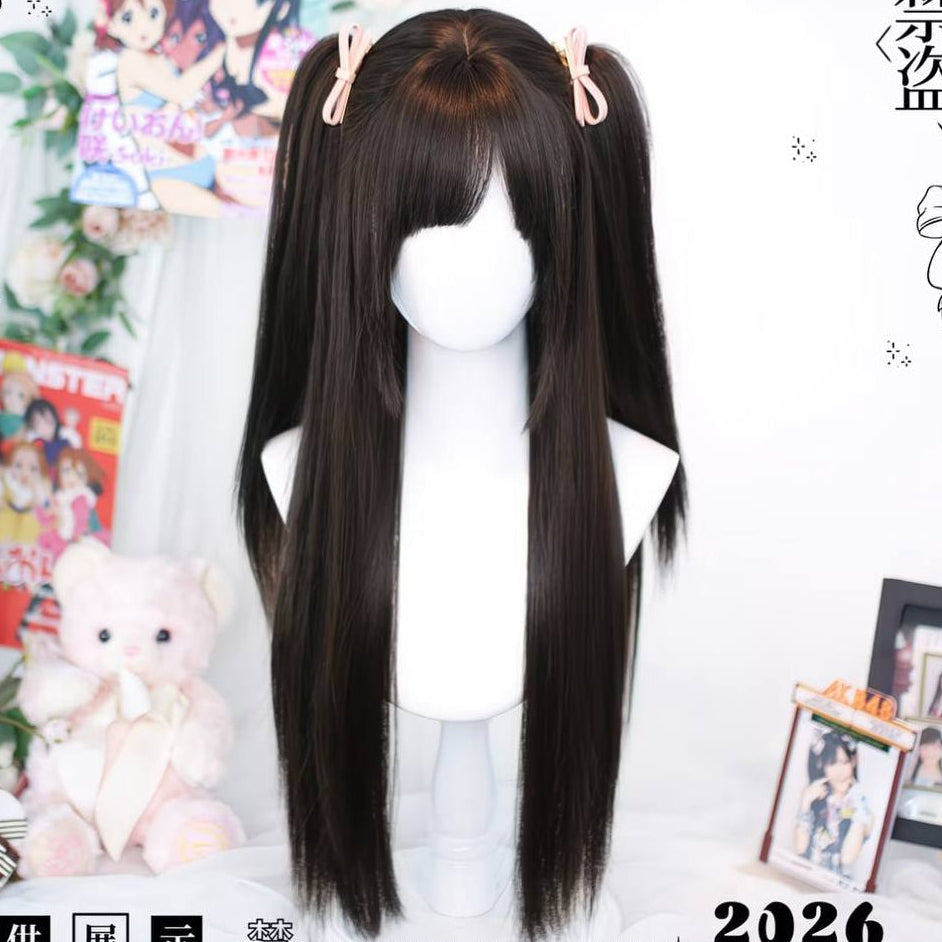 Long Straight Wig